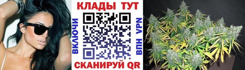  COCAIN Вышний Волочёк